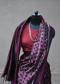 Coffee  silk ikat handloom Odisha saree –Transition-Pankaja Sethi